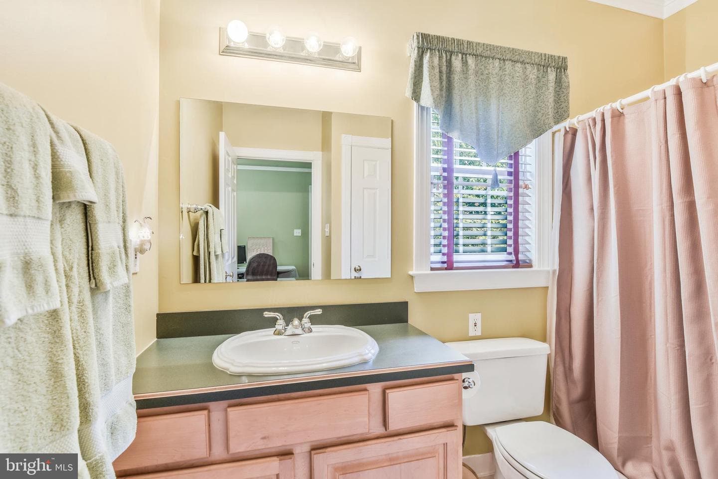 10371 Bear Creek Drive photo 21