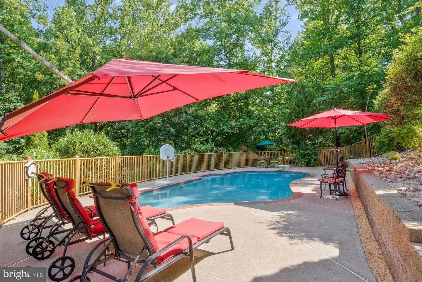10371 Bear Creek Drive photo 54