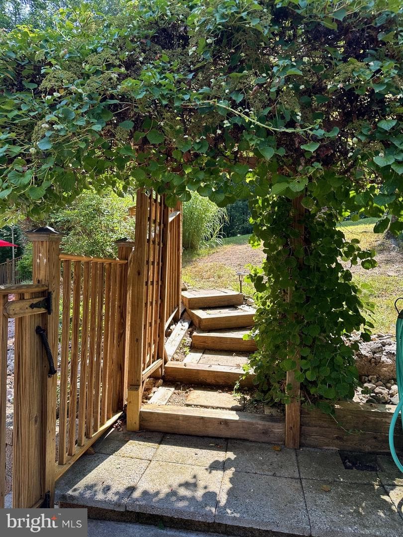 10371 Bear Creek Drive photo 58