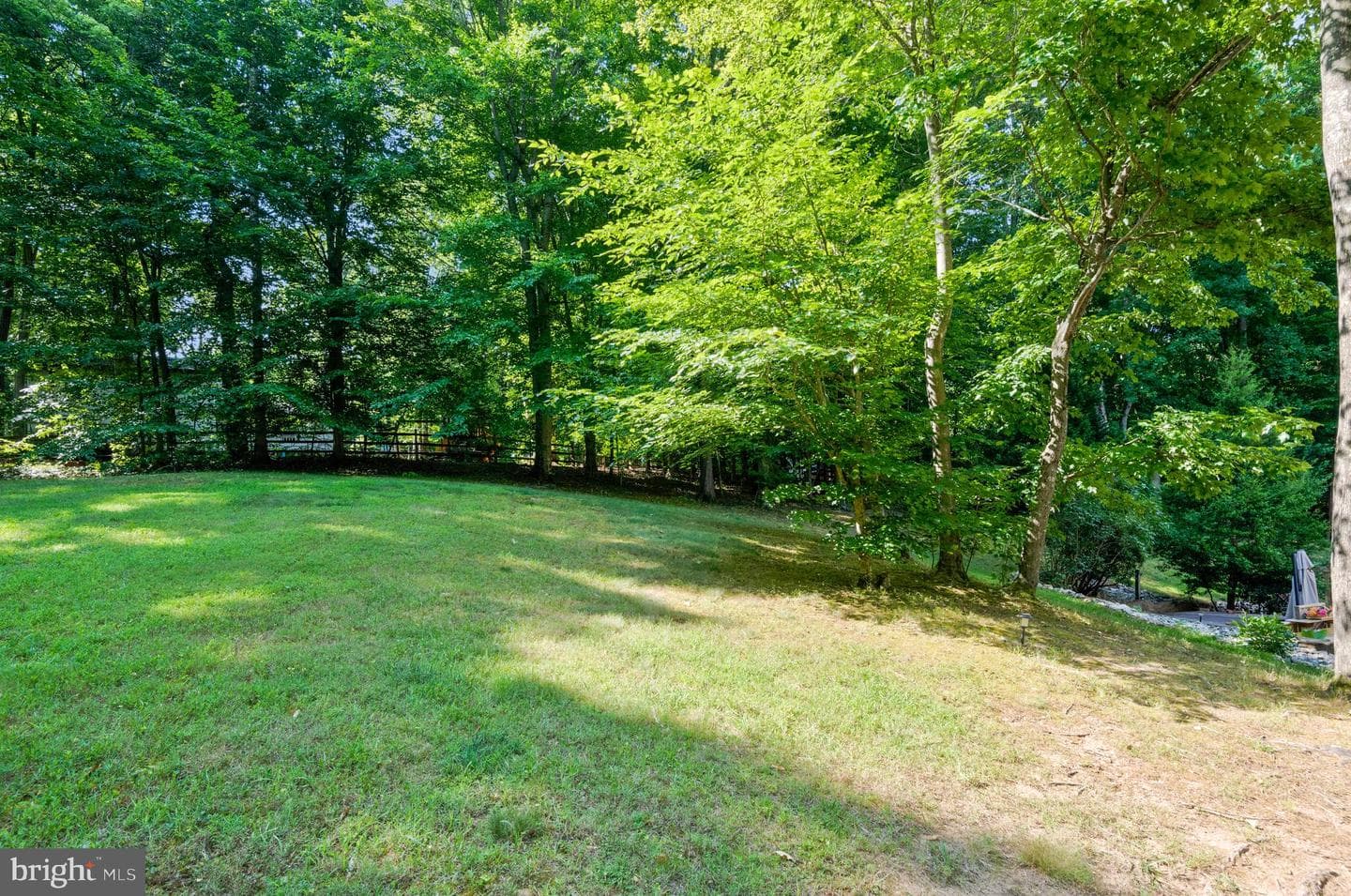 10371 Bear Creek Drive photo 60