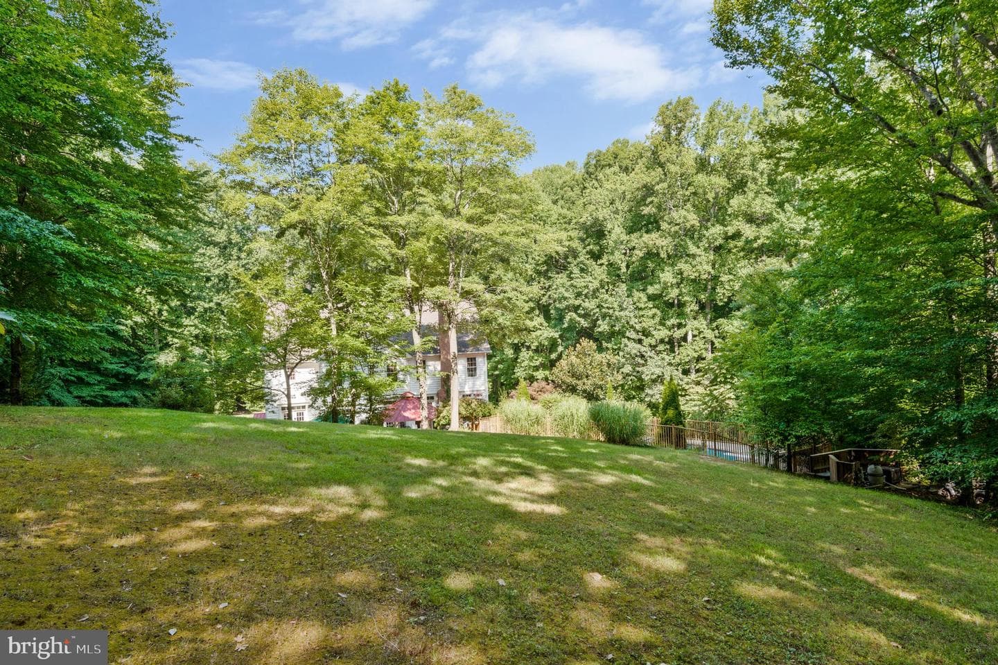 10371 Bear Creek Drive photo 61