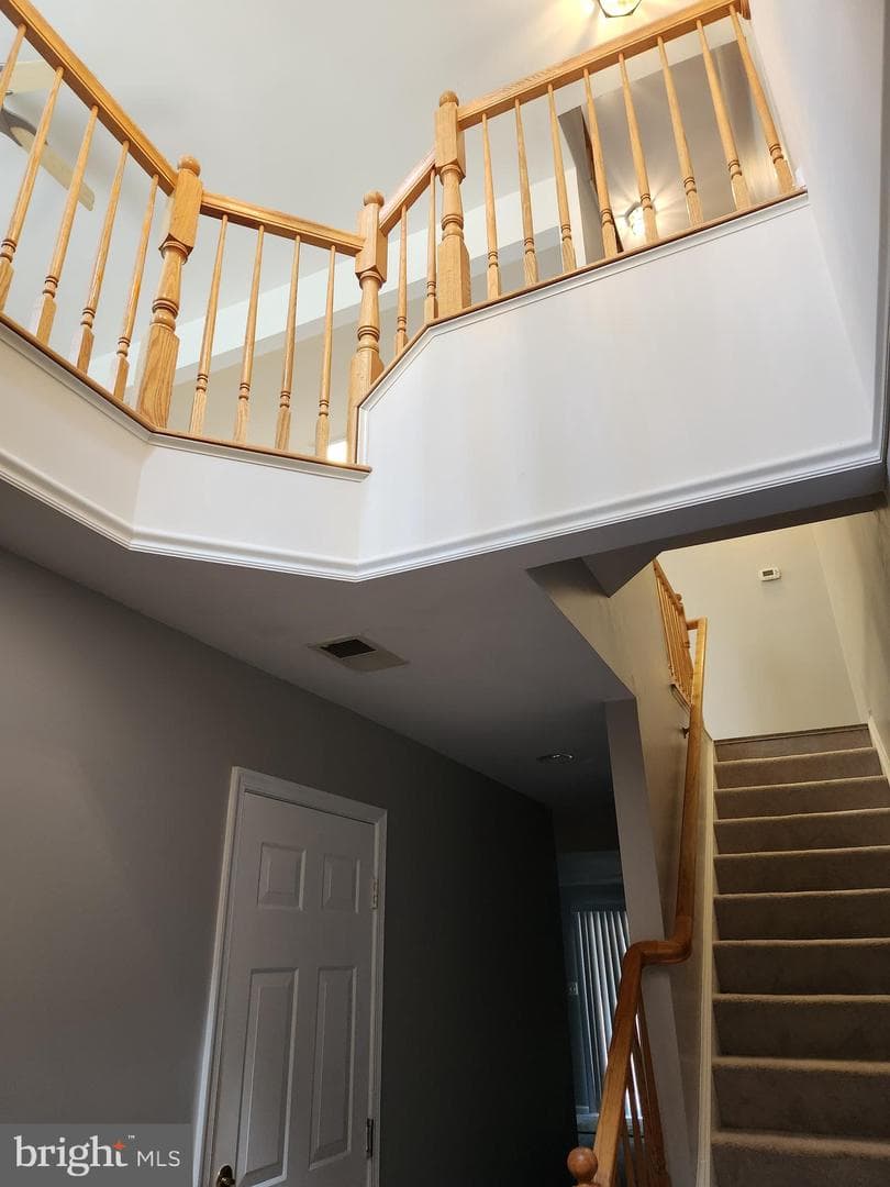 10544 Falkirk Way photo 16