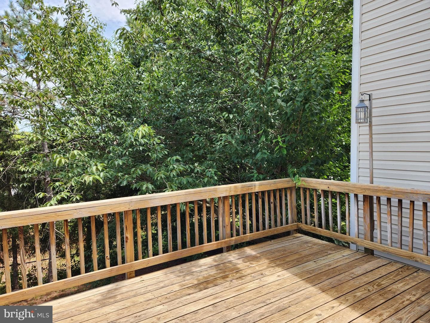 10544 Falkirk Way photo 27