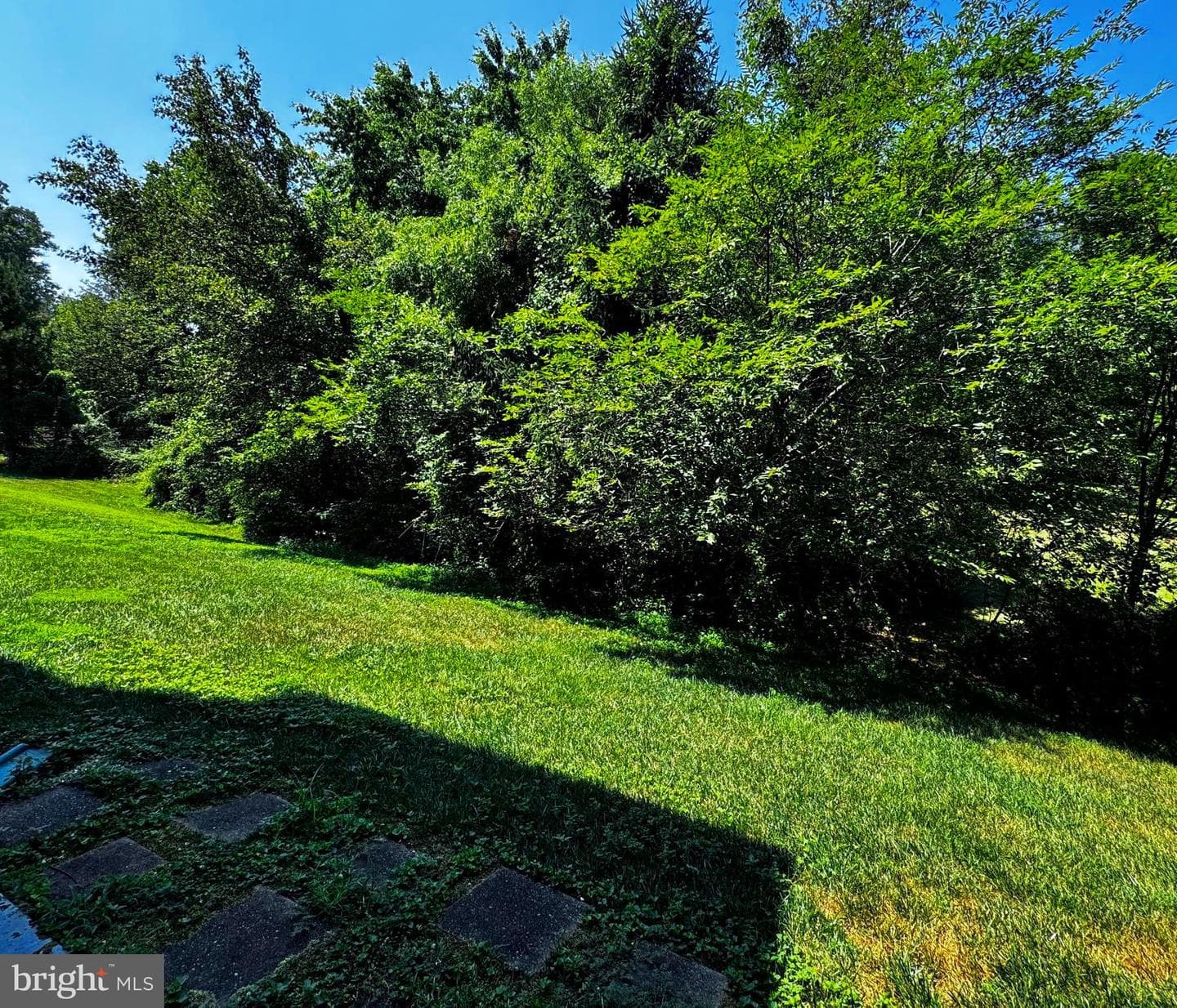 3832 Clore Place #3832 photo 22