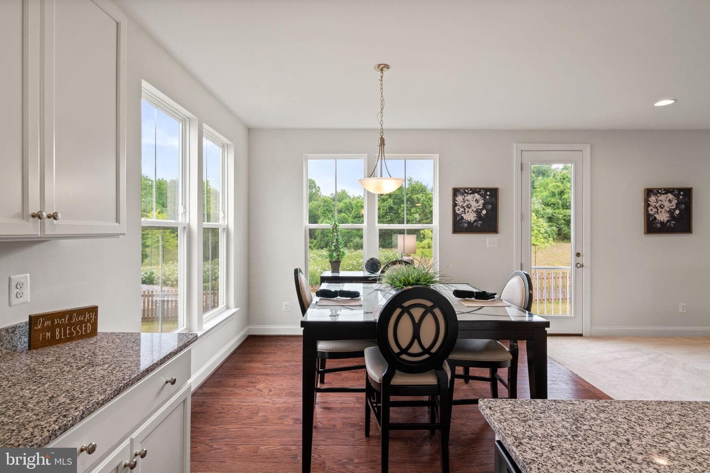 8134 Skystone Loop photo 10