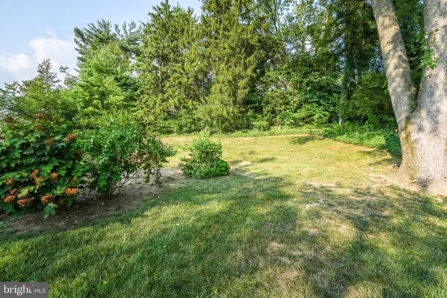 14105 Franklin Street photo 31