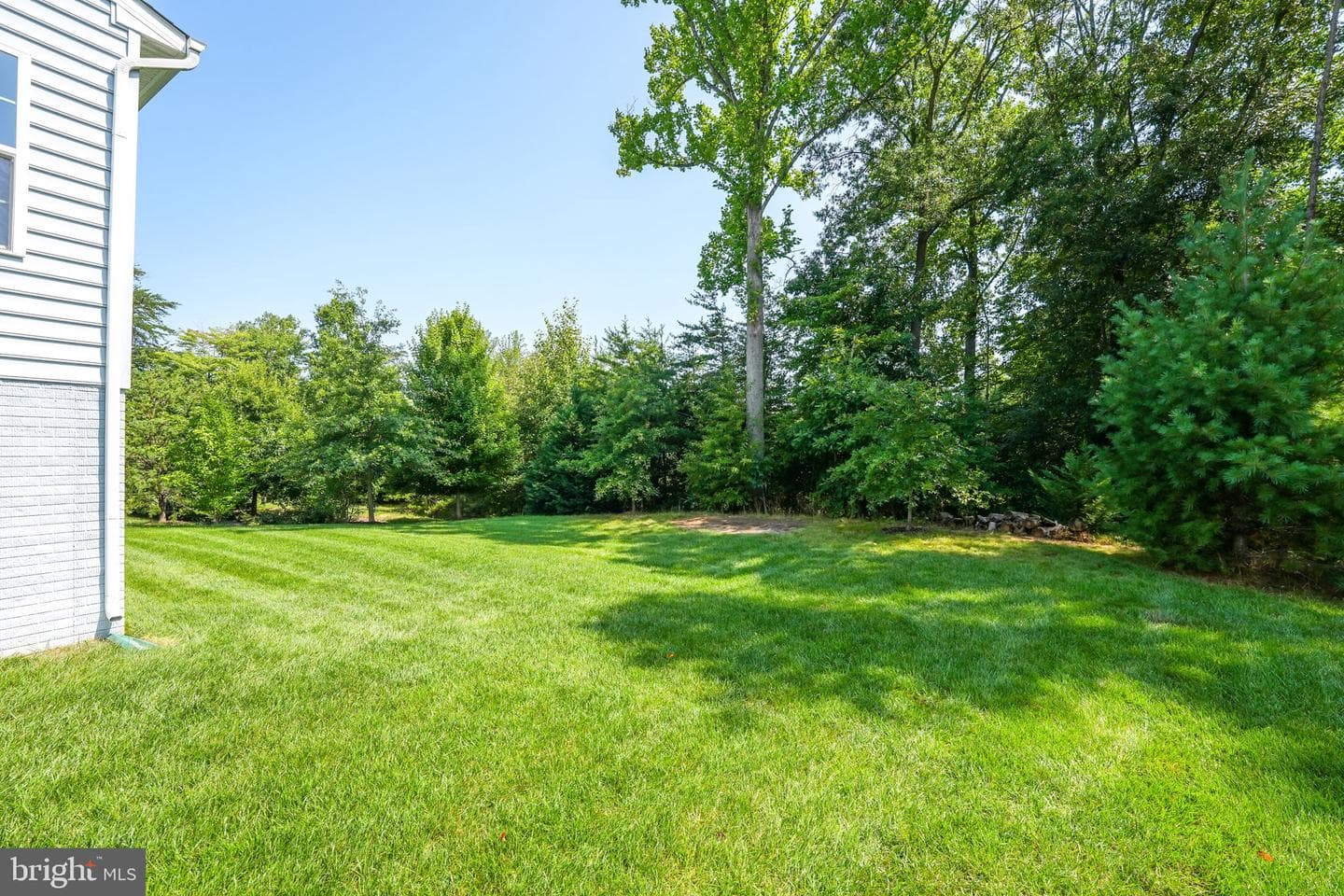 12921 Hoadly Manor Drive photo 11