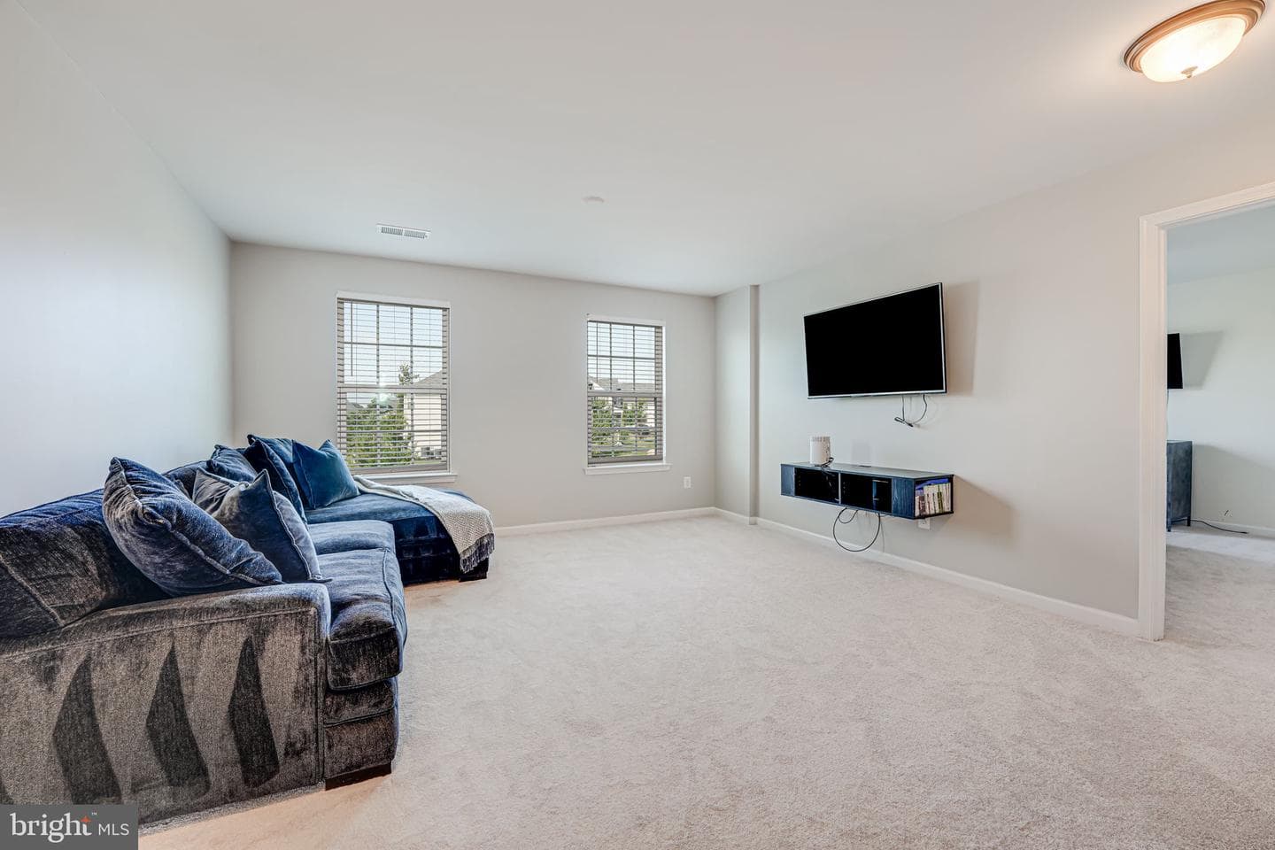 12921 Hoadly Manor Drive photo 46