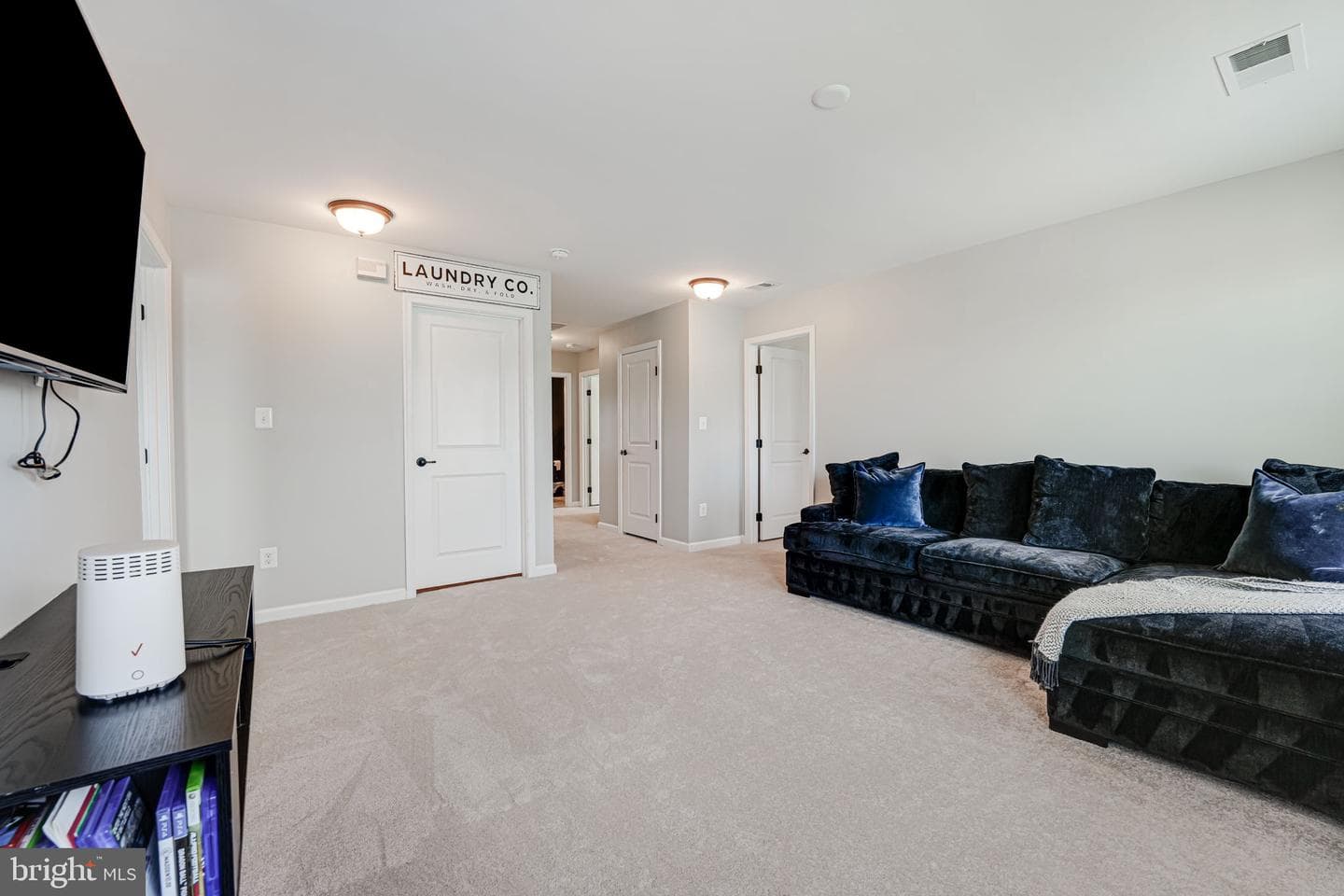 12921 Hoadly Manor Drive photo 48