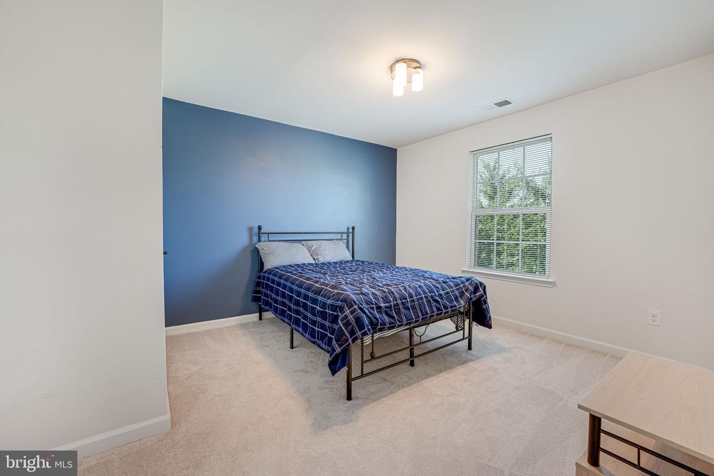 12921 Hoadly Manor Drive photo 51