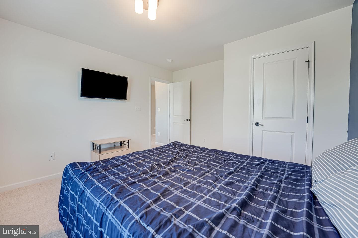 12921 Hoadly Manor Drive photo 52