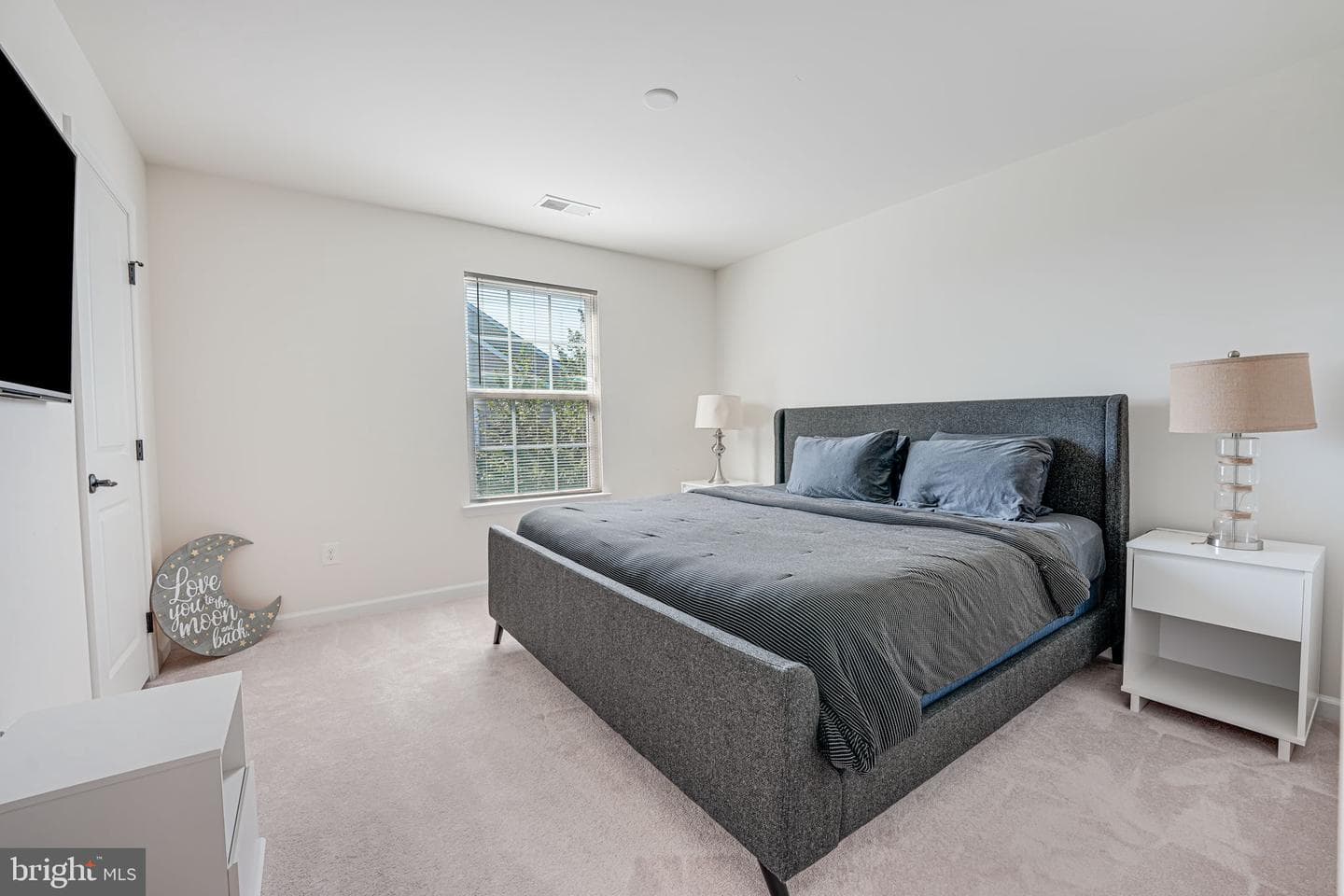12921 Hoadly Manor Drive photo 54
