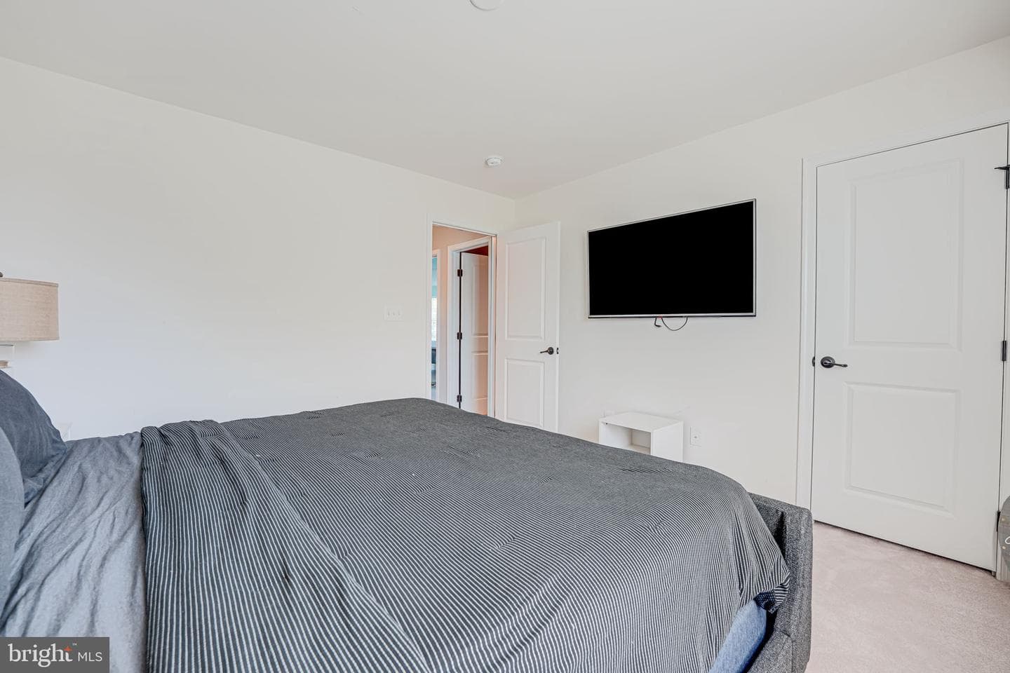 12921 Hoadly Manor Drive photo 55