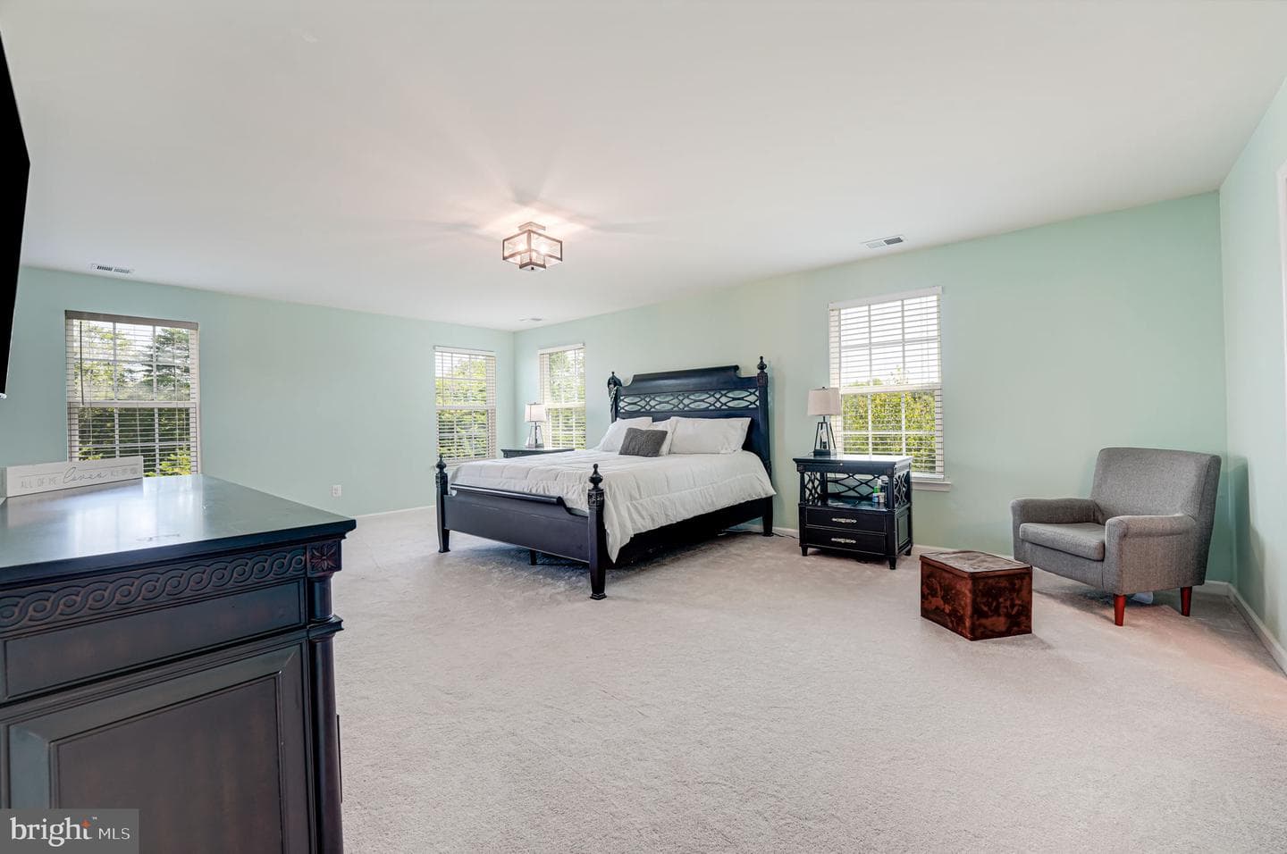 12921 Hoadly Manor Drive photo 56