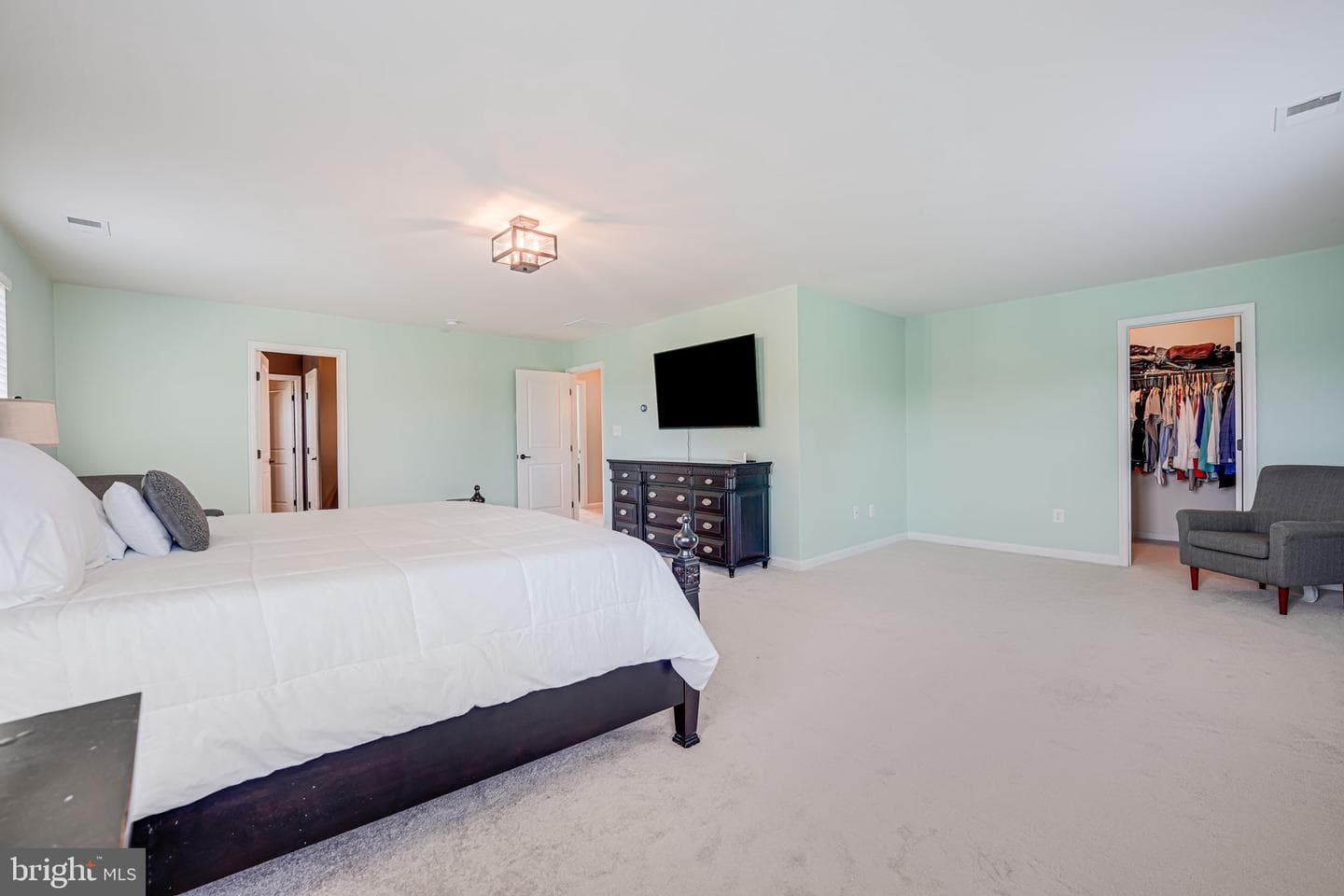 12921 Hoadly Manor Drive photo 57