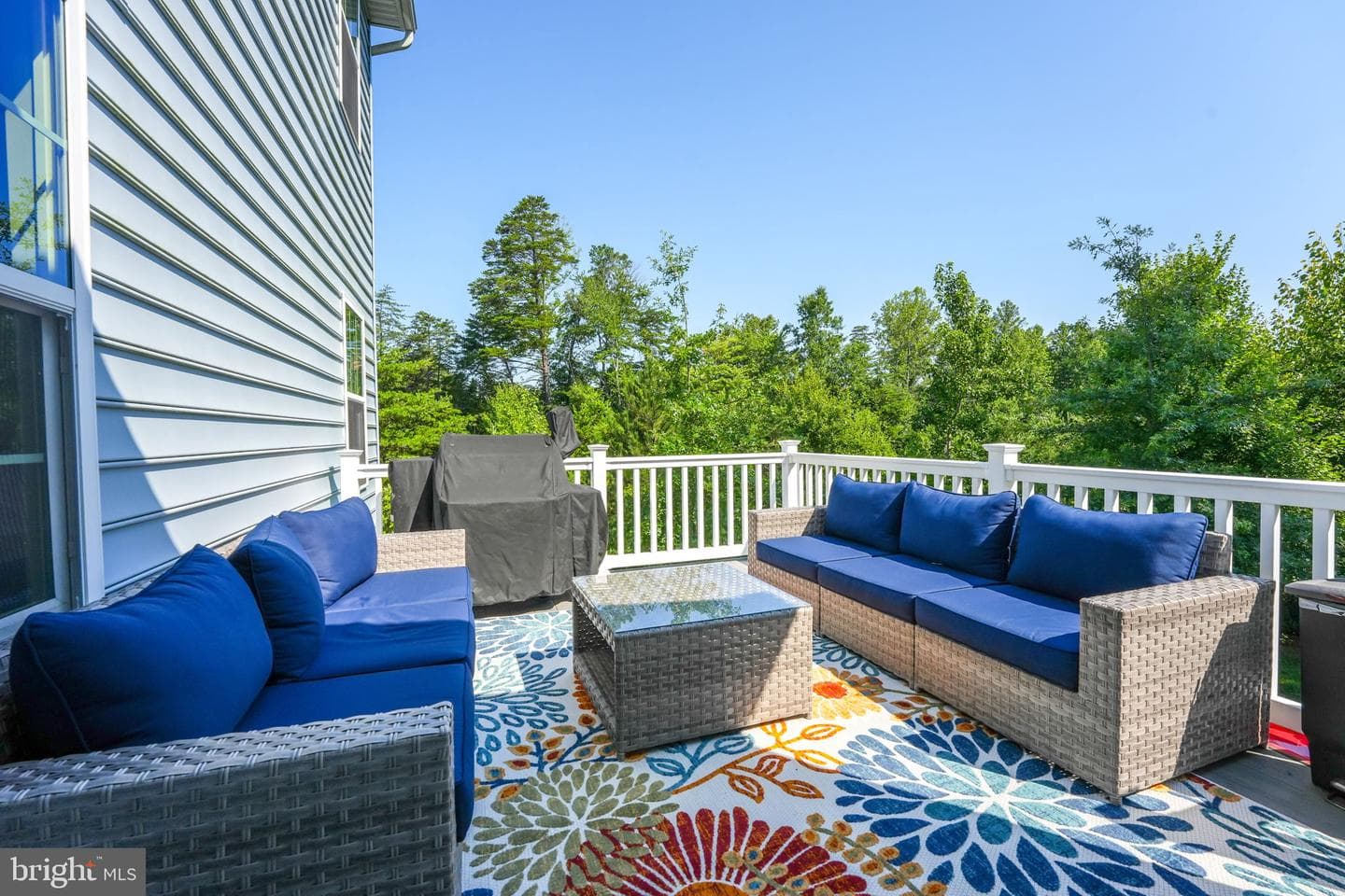 12921 Hoadly Manor Drive photo 6