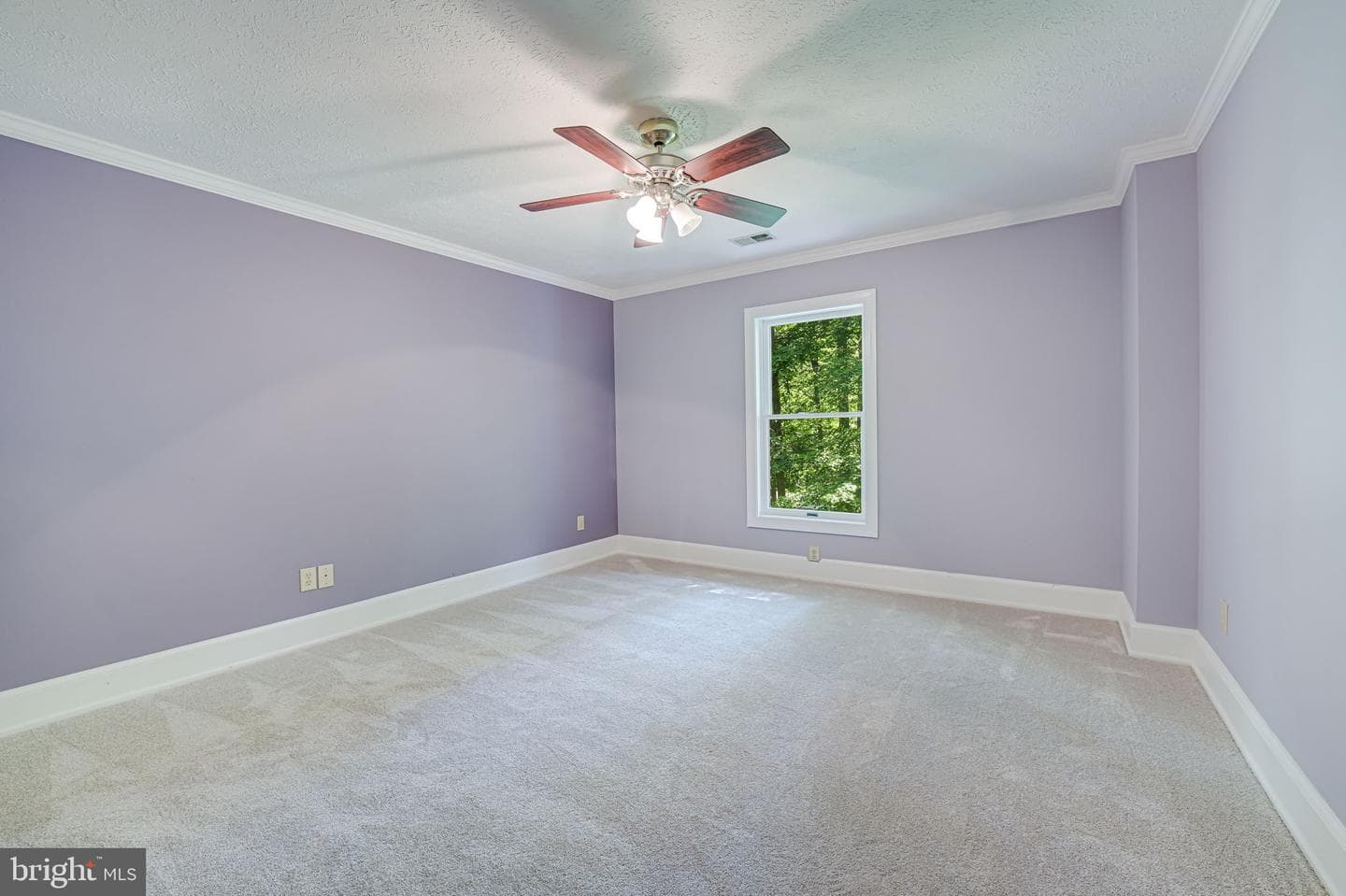 13475 Bristow Road photo 37