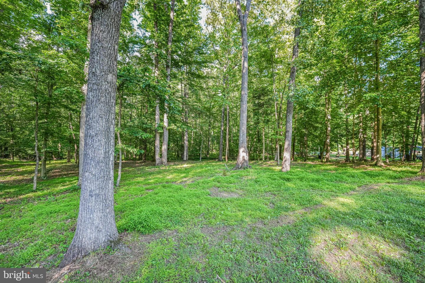 13475 Bristow Road photo 67