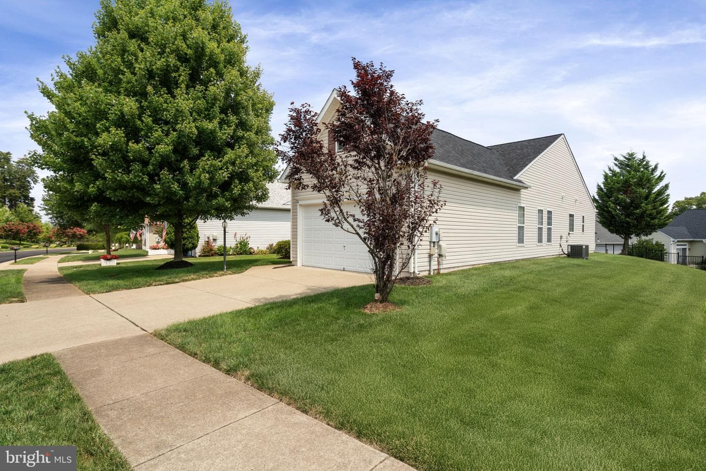 16149 Dancing Leaf Place photo 3