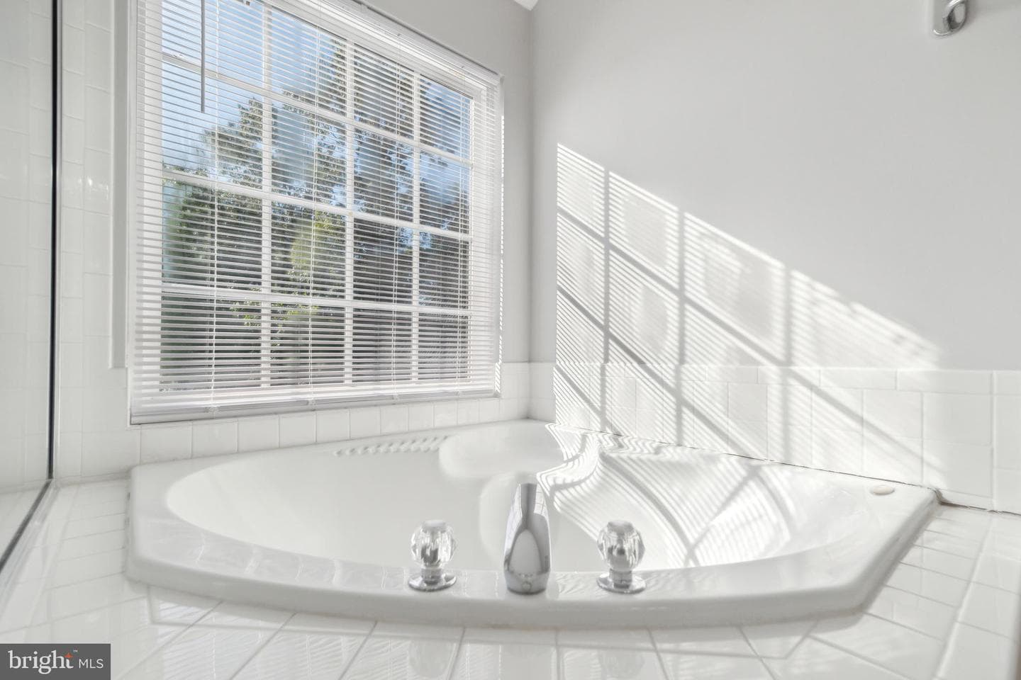 9838 Cheshire Ridge Circle photo 7