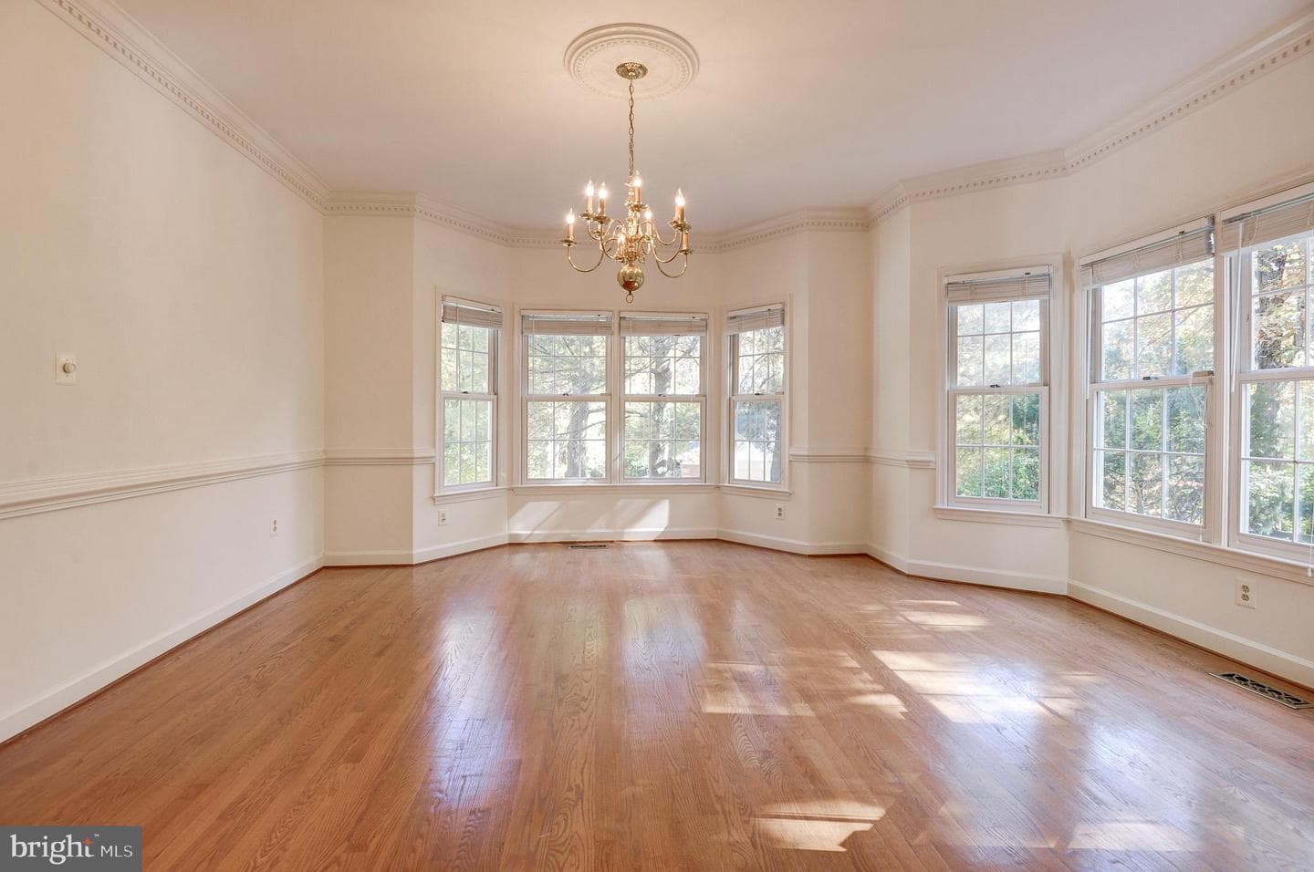 10331 Bear Creek Drive photo 10
