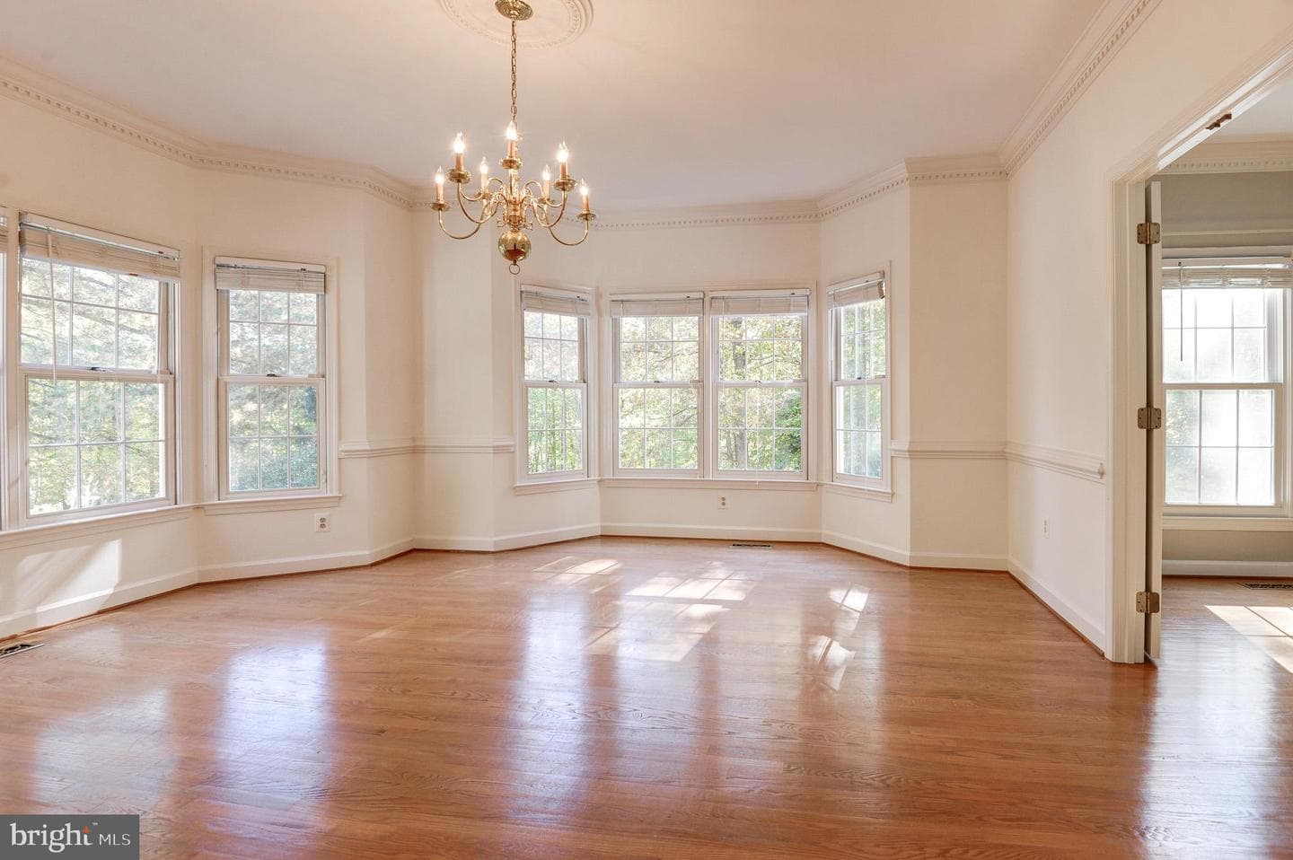 10331 Bear Creek Drive photo 11