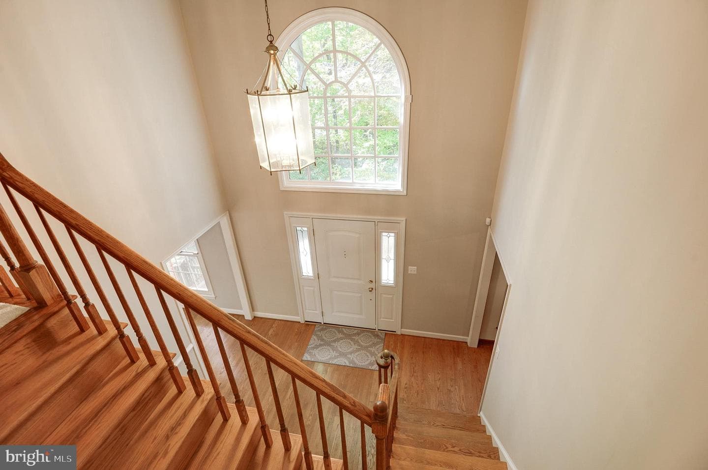10331 Bear Creek Drive photo 4