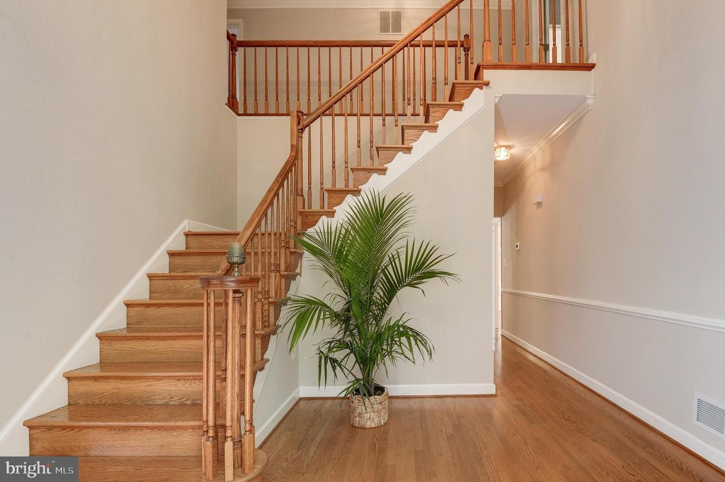 10331 Bear Creek Drive photo 5
