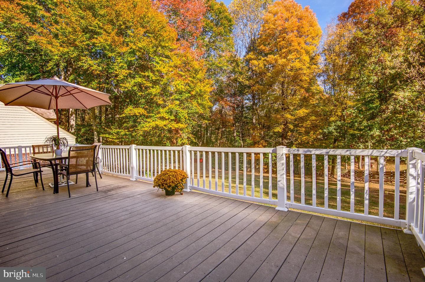 10331 Bear Creek Drive photo 52
