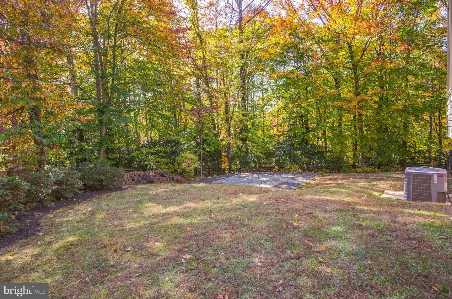 10331 Bear Creek Drive photo 57