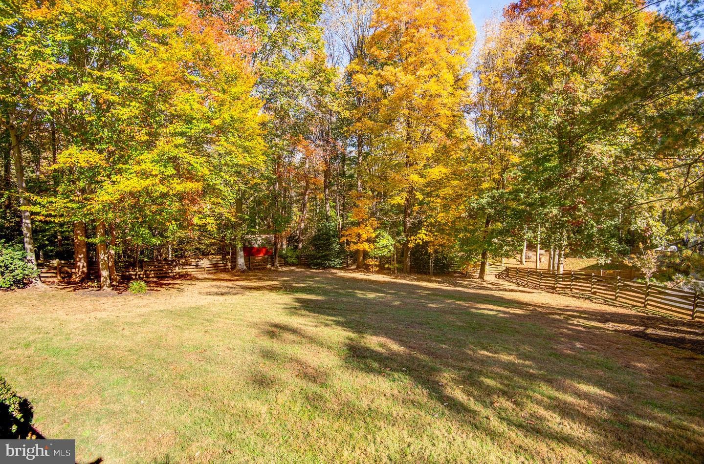 10331 Bear Creek Drive photo 59