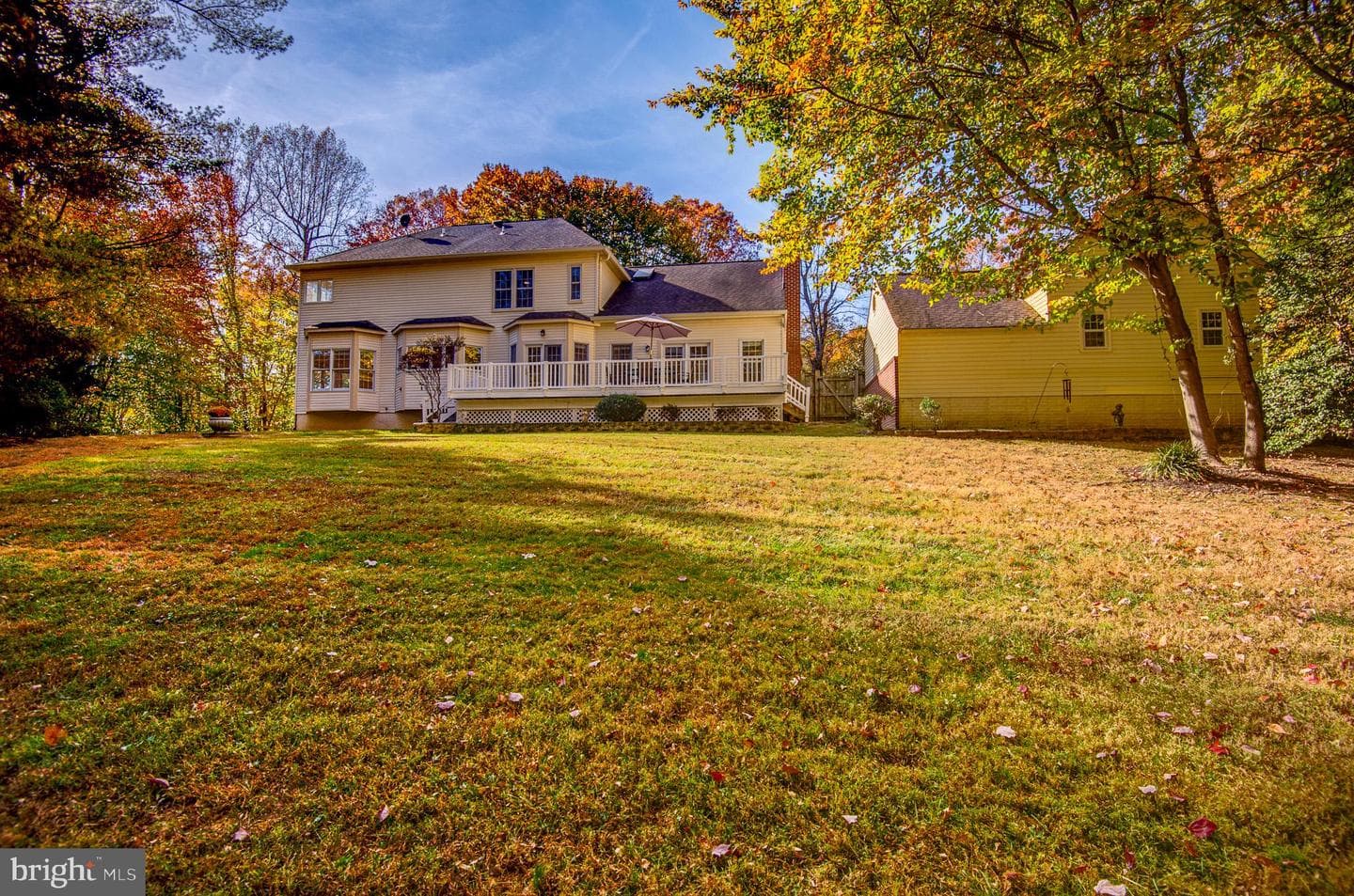 10331 Bear Creek Drive photo 61