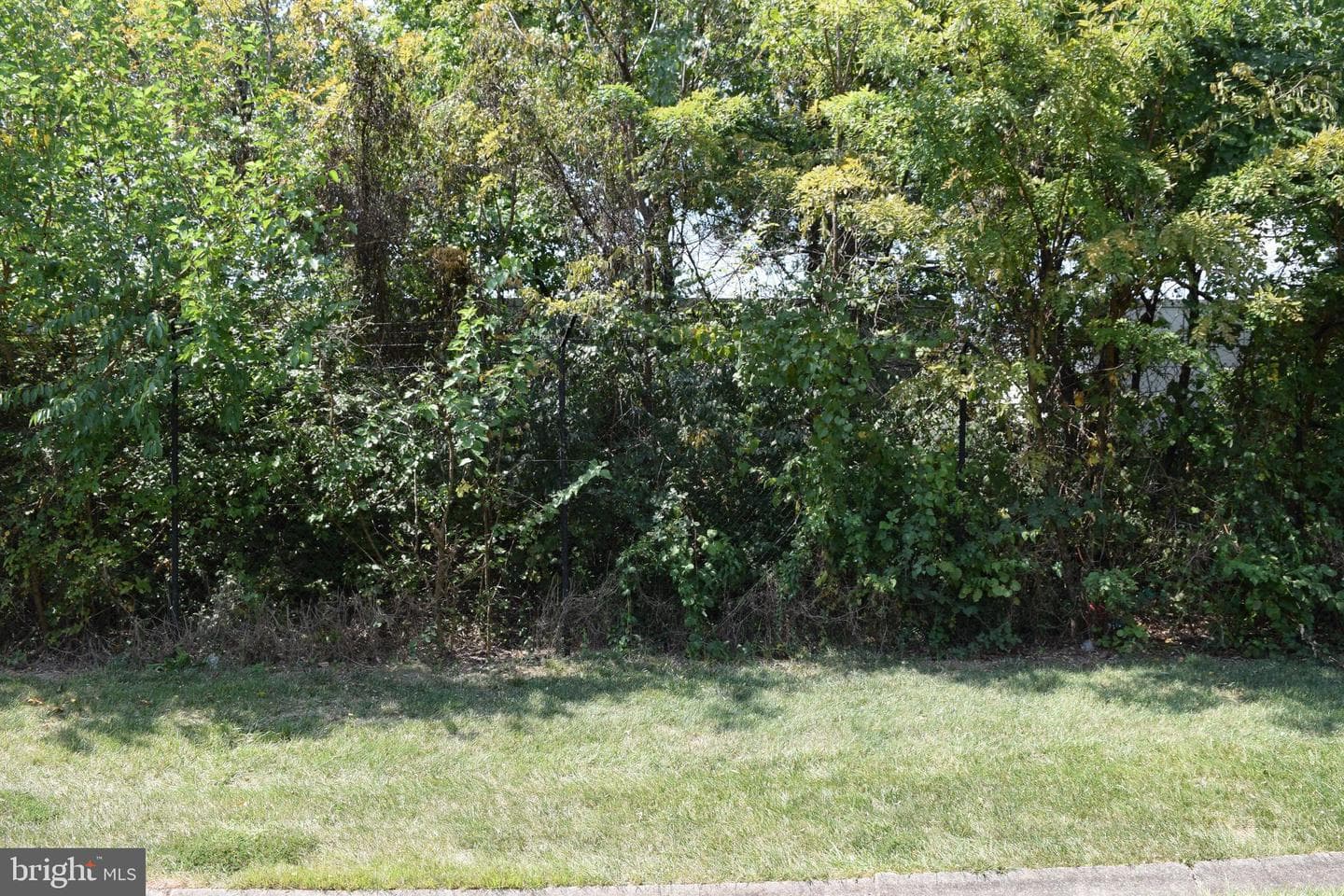 7918 Brighton Way photo 26