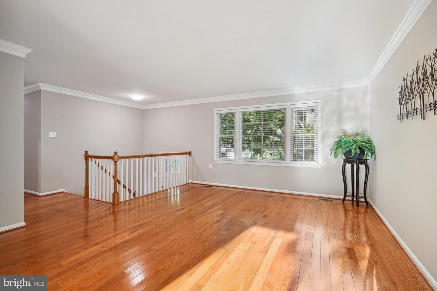 12005 Willowood Drive photo 10