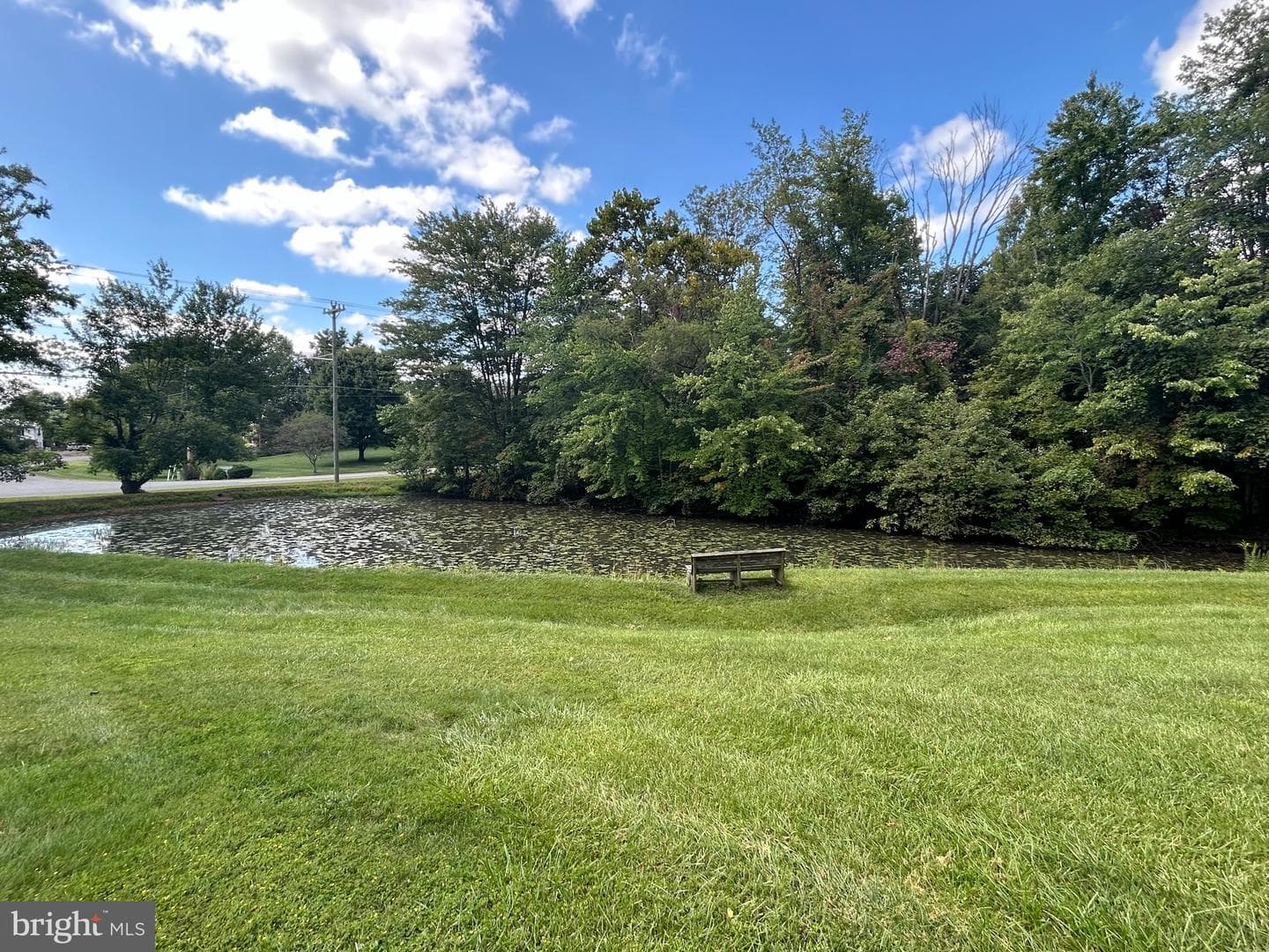 15956 Waterfall Road photo 3