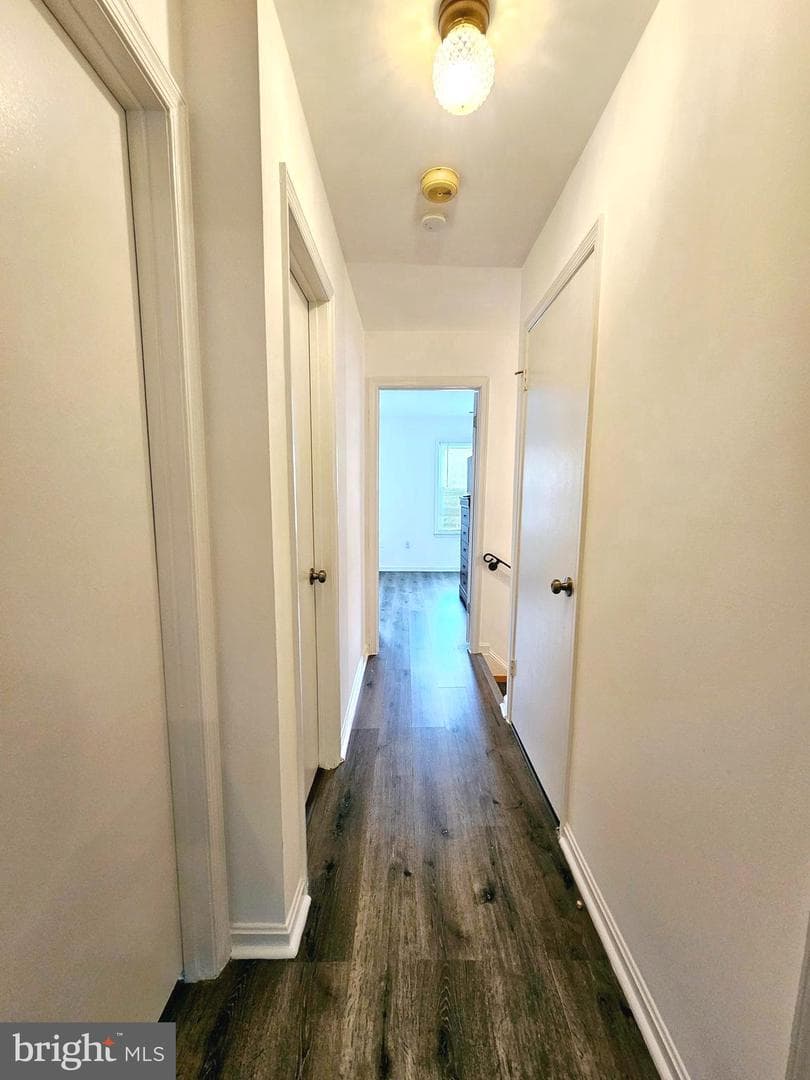 3304 Ladino Court photo 10