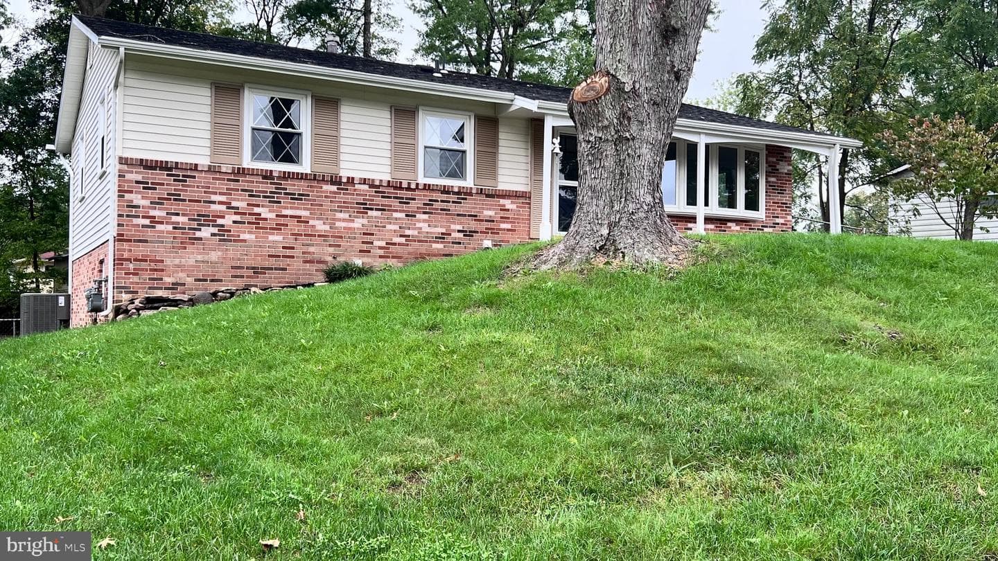 10017 Copeland Drive photo 4