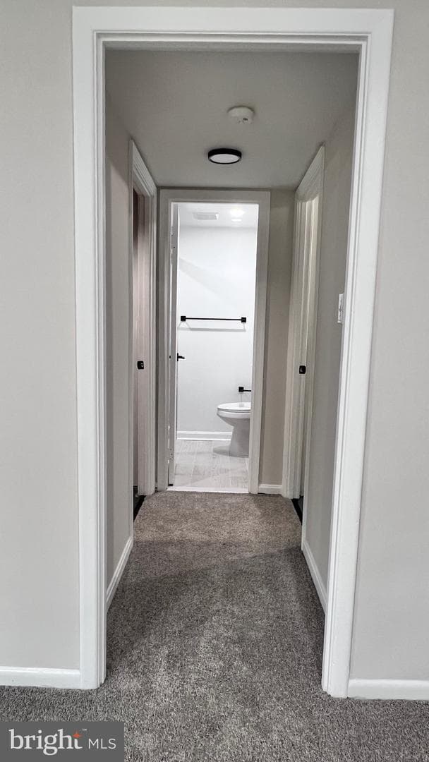 10017 Copeland Drive photo 64