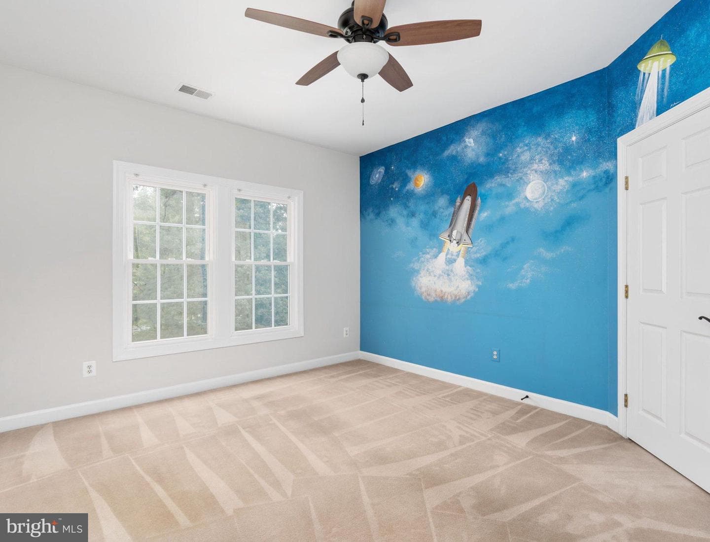 10028 Island Fog Court photo 40