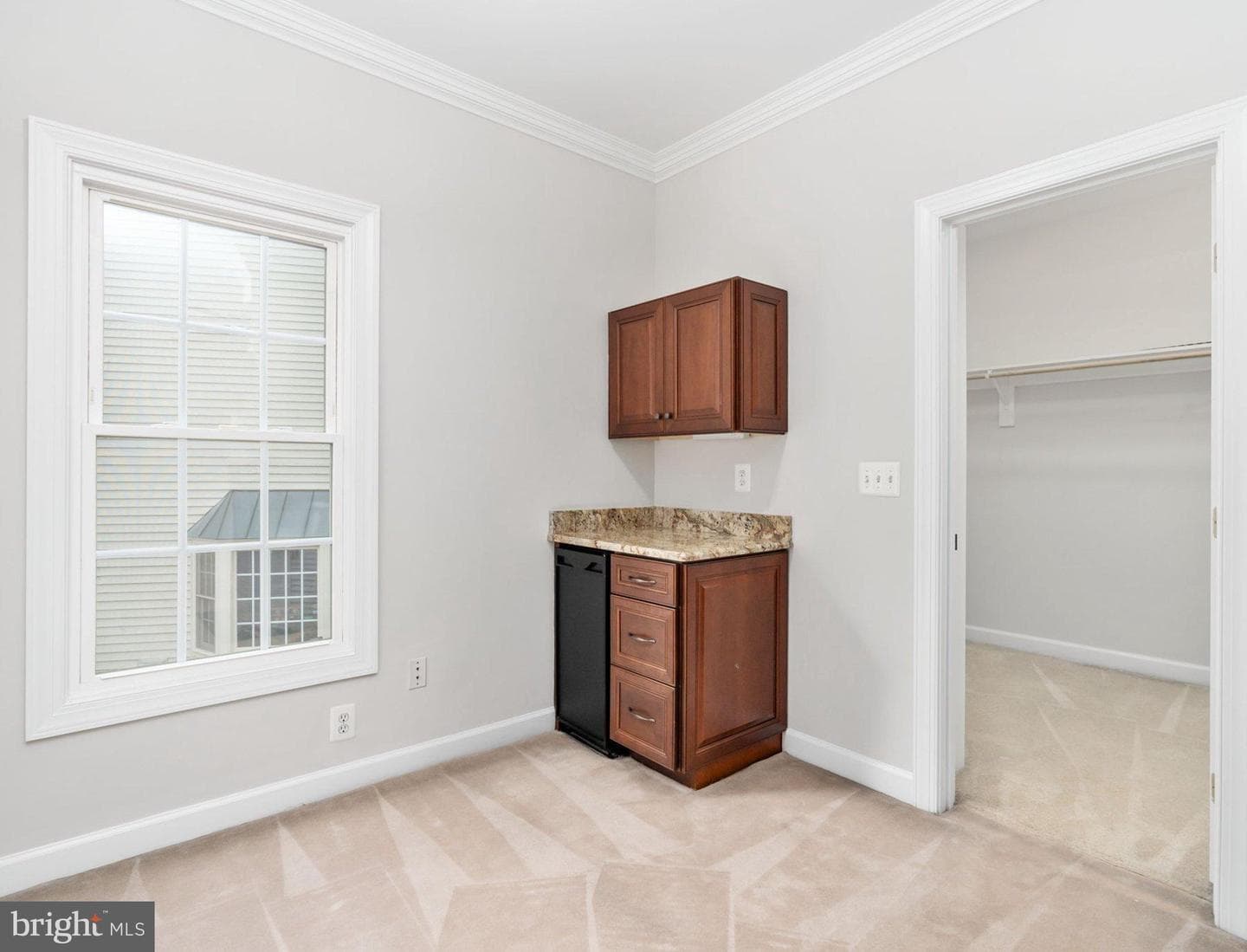 10028 Island Fog Court photo 55