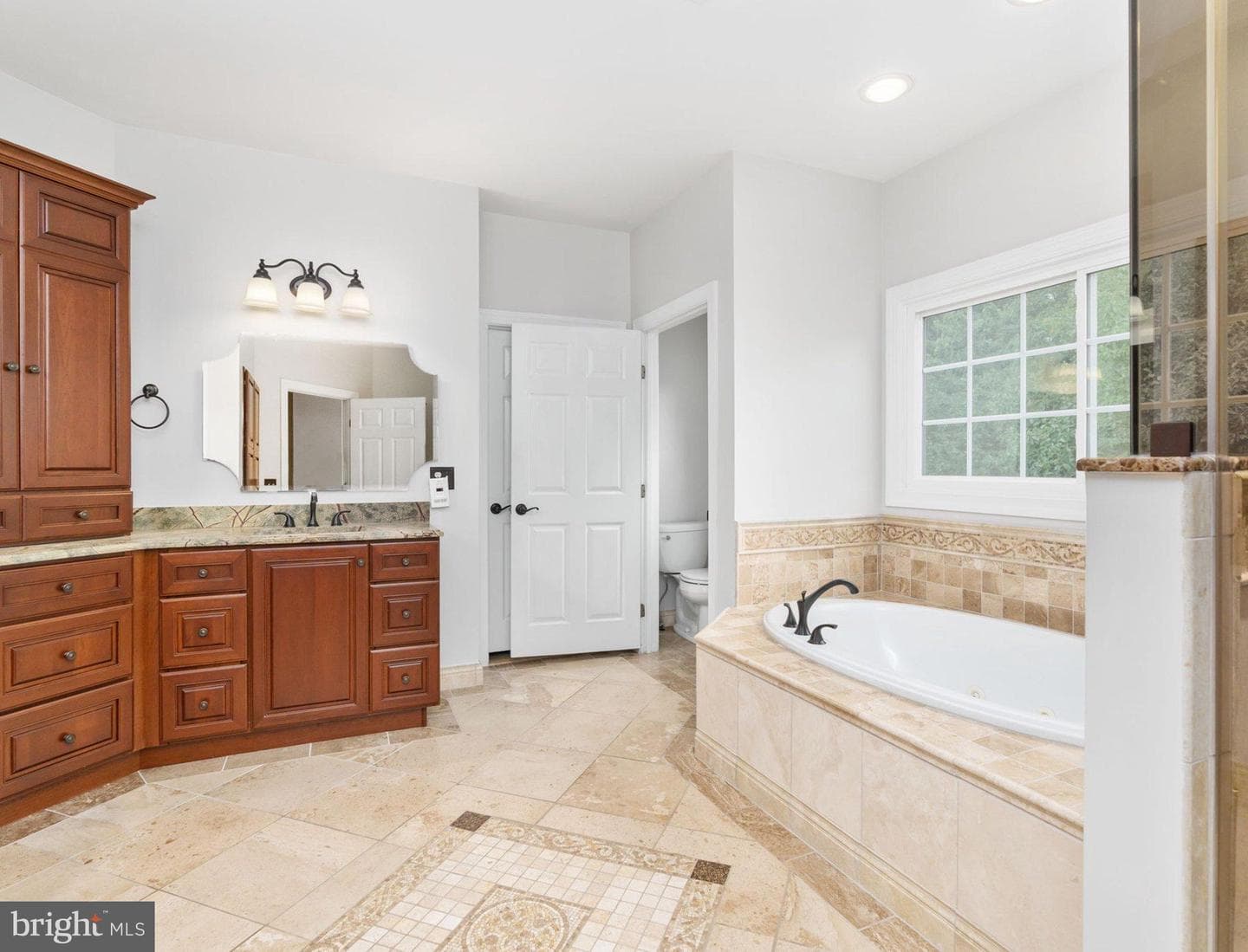 10028 Island Fog Court photo 56