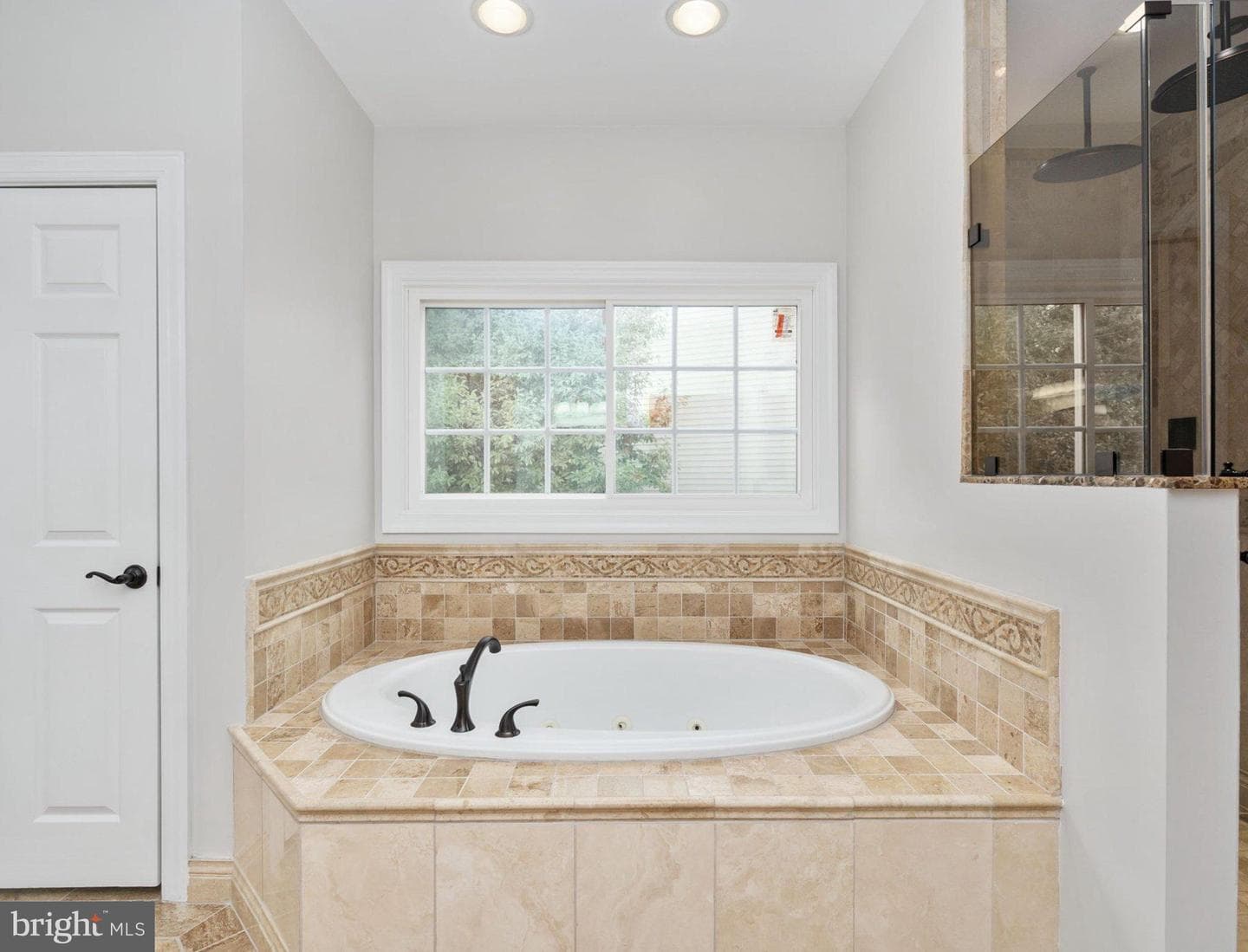 10028 Island Fog Court photo 57