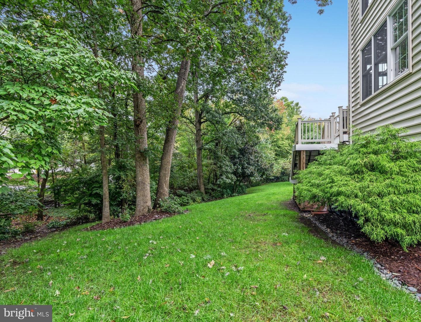 10028 Island Fog Court photo 81