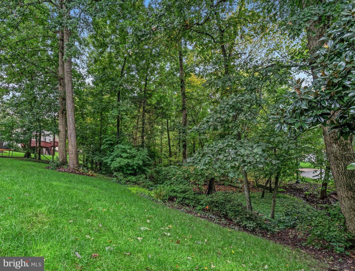 10028 Island Fog Court photo 82