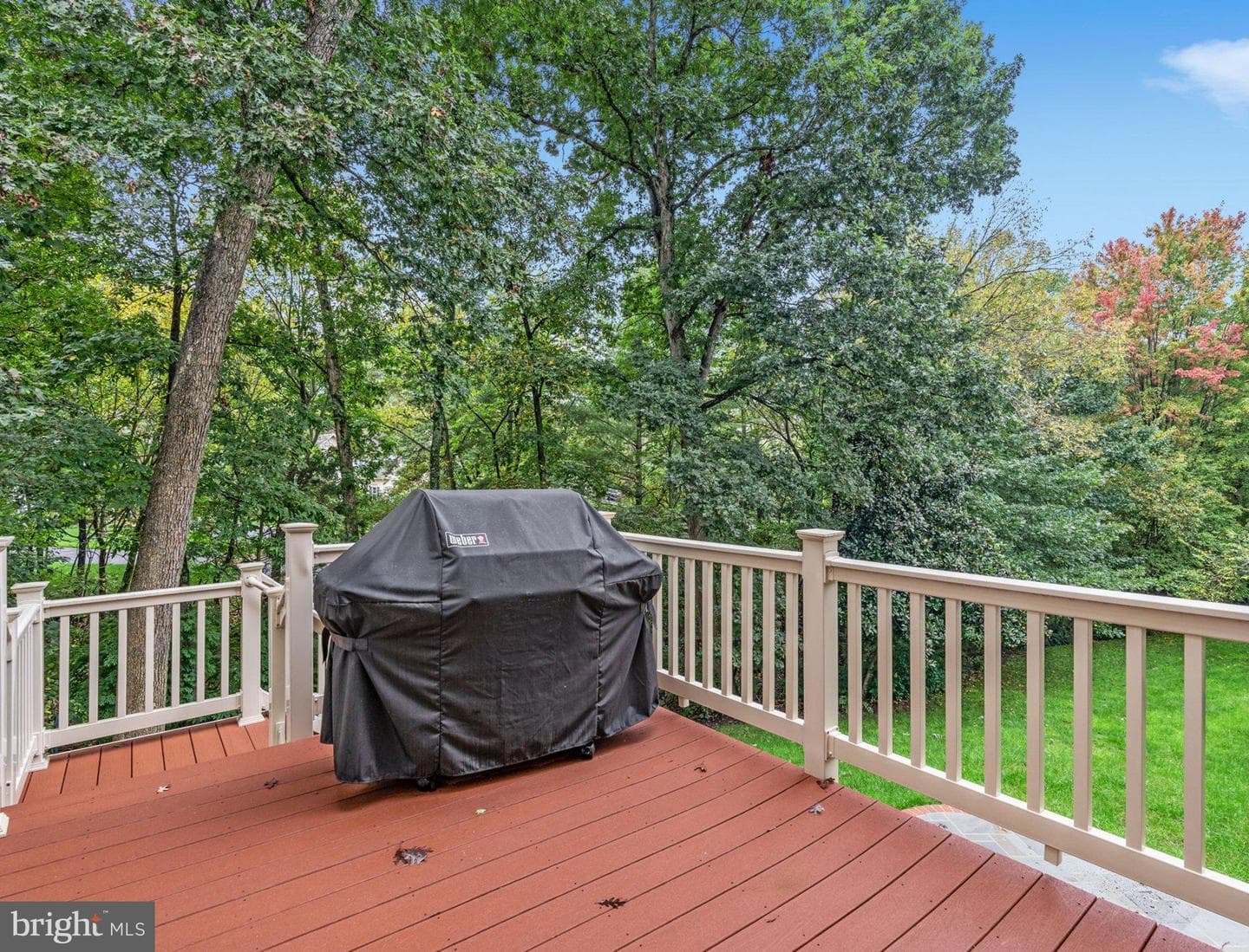 10028 Island Fog Court photo 84