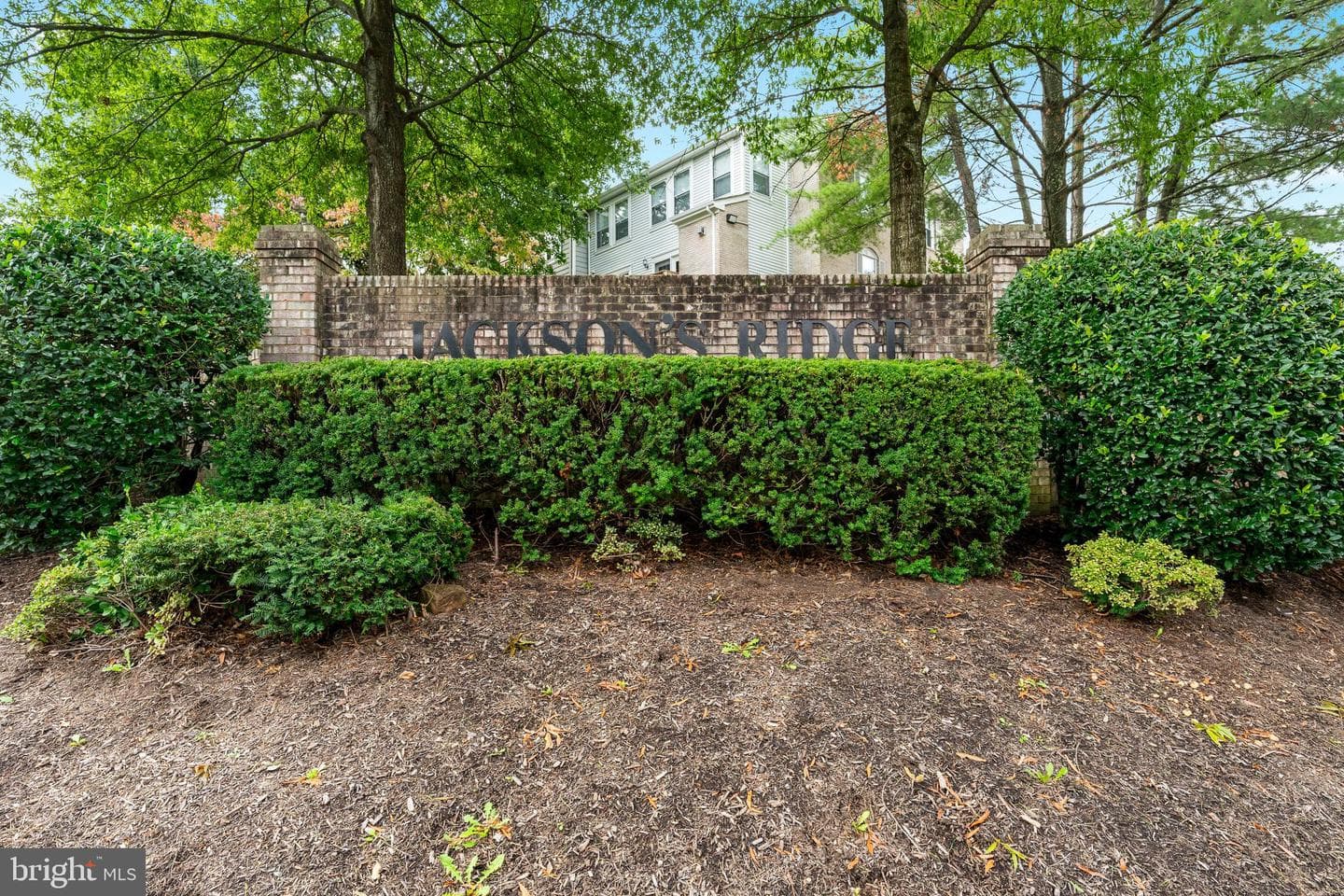 11172 Stagestone Way photo 28
