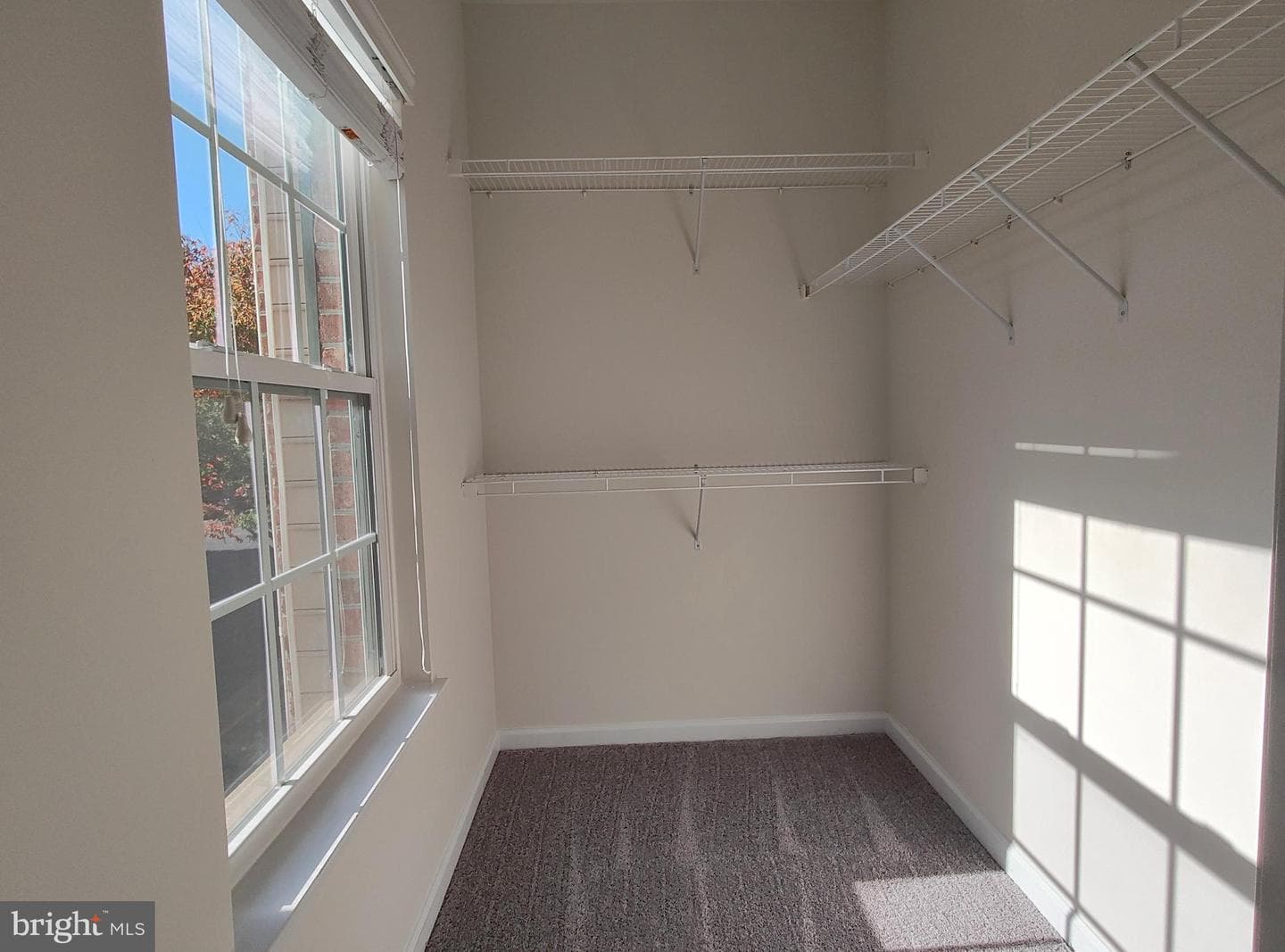 2459 Eastbourne Drive photo 19