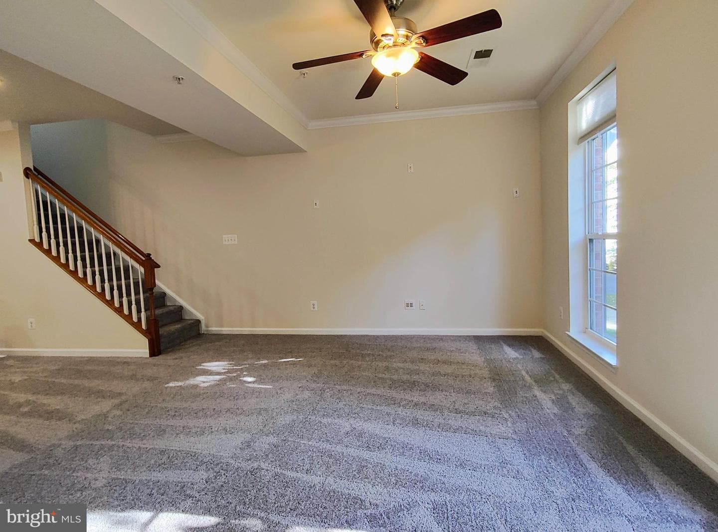2459 Eastbourne Drive photo 4