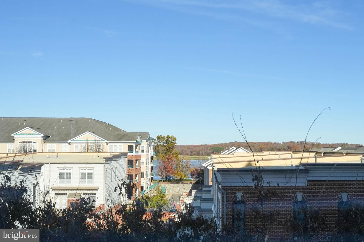 485 Harbor Side Street #401 photo 2