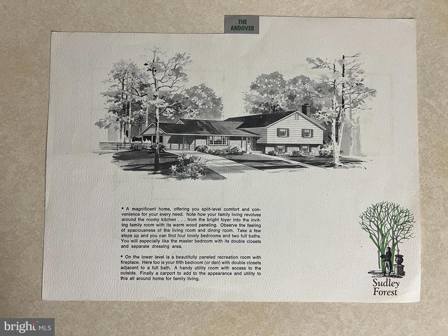 7517 Todd Place photo 2